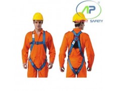 Dây đai toàn thân Proguard BH7886
